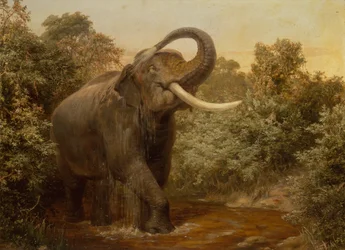 The Monster Tusker