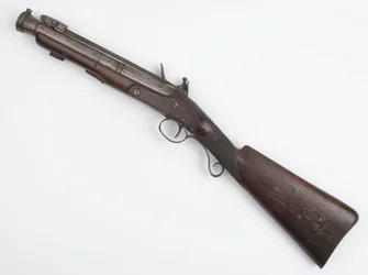 Blunderbuss with spring bayonet issued to Irish Volunteers, c.1815