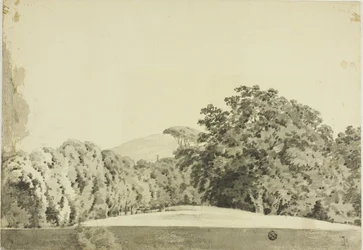 Wooded Landscape