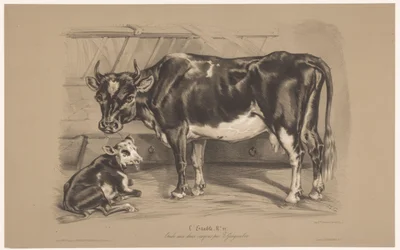 Cow with Calf in a Stable