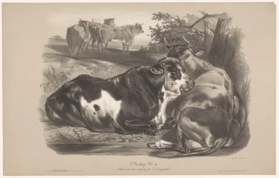 Five Cows in a Meadow