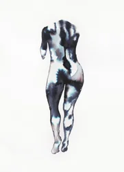 Fluid Body Study