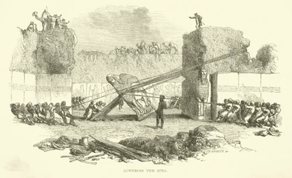 Lowering the bull