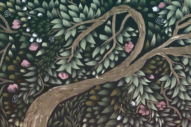 Enchanted Forest Canopy