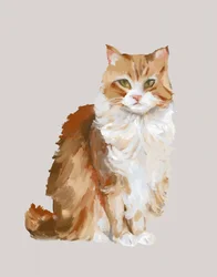 Fluffy Ginger Cat Portrait
