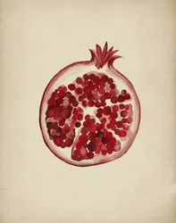 Juicy Red Pomegranate