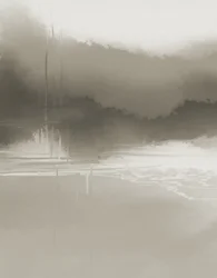 Misty Water Reflections