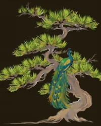 Peacock On Pine Branch