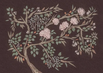 Pink Flowering Tree
