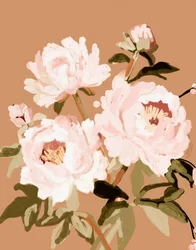 Soft Pink Peonies
