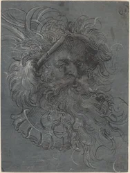 Head of a Bearded Man