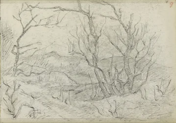 Hilly Landscape with a Group of Trees