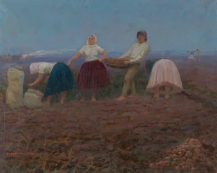 Picking Potatoes