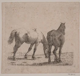 Two Horses
