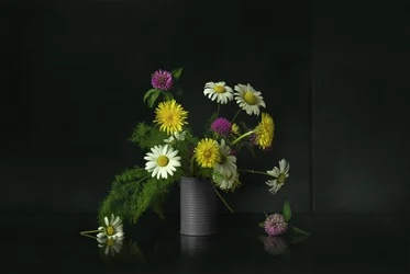 Wildflower Still Life