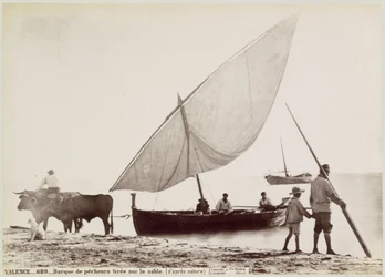 Oxen Pulling a Fishing Boat onto the Beach in Valencia