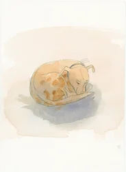 Sleeping dog