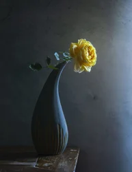 Moody Yellow Rose