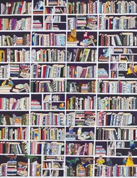 Bookshelves Full Of Wonder