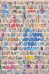 Colorful Bookshelf Library