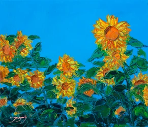 Vibrant Sunflower Field
