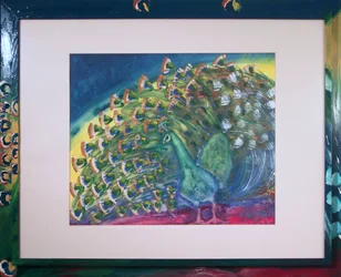 Peacock - Bird -