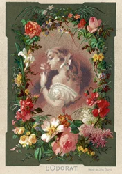 Smell, woman smelling a flower in a decor of roses, lilies and tulips