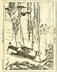 Candide, Satirical in Black & White