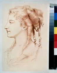 Portrait of a Young Lady