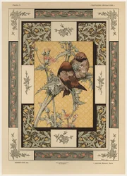Birds, plate 35 from 