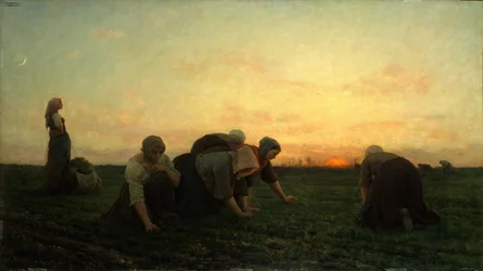 The Weeders