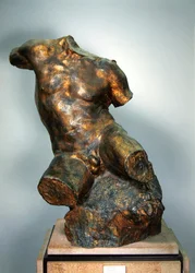 Male Torso