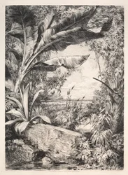 Plants of the Greenhouse, 1872