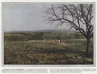 The Marshes Seen from Mondement