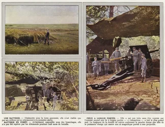 A Battery, Long-Range Piece, Battery in Forest