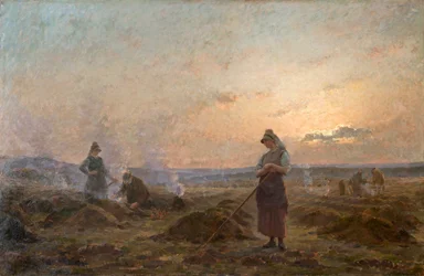 Evening in the Ardennes