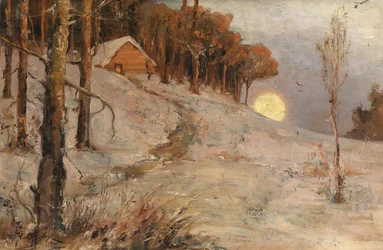 Winter Forest in the Rays of Evening Sun