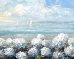 Coastal Hydrangea Serenity