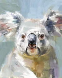 Gentle Koala Gaze