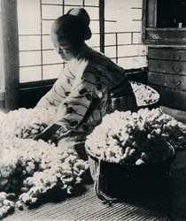 5000 silkworms eat 125 lbs of mulberry for 8 skeins of silk, making one kimono