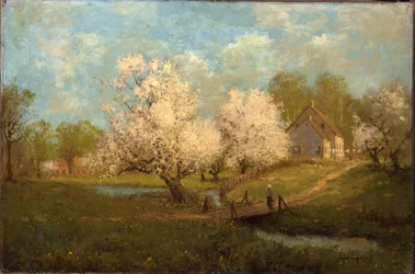 Spring Blossoms