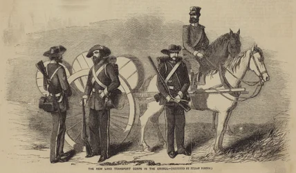 The New Land Transport Corps in the Crimea