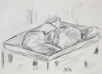 Cats Nestling