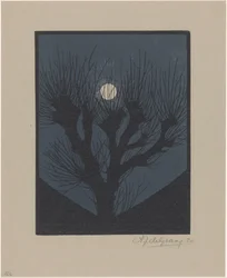 Moonlit Night