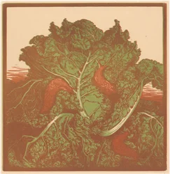Three Slugs on a Cabbage
