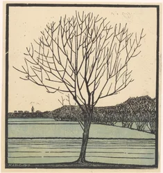 Bare Tree