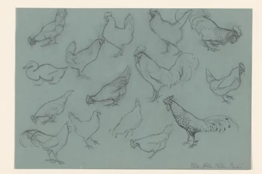 Study Sheet with Chickens