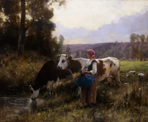 Cows at the Watering Hole