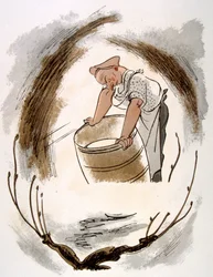 Humorous Wine Illustration
