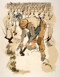 Humorous Wine Illustration 1946